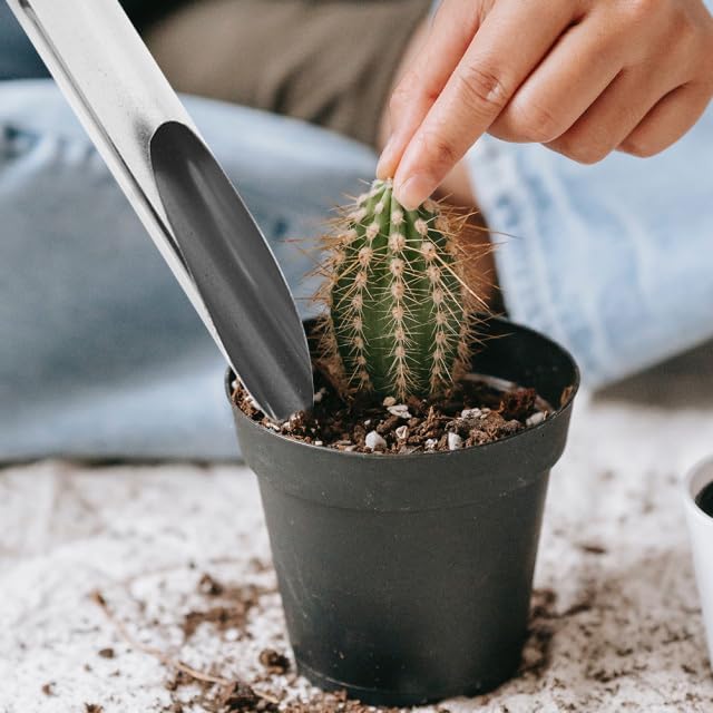 51-QUyslYAL._AC_.jpg Stainless Steel Soil Scoop Trowel for Bonsai, Succulent and Indoor Plant Potting - Image 1