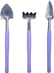 Mini Stainless Steel Garden Tool Set with Shovel, Rake and Trowel for Indoor Plants - Image 2