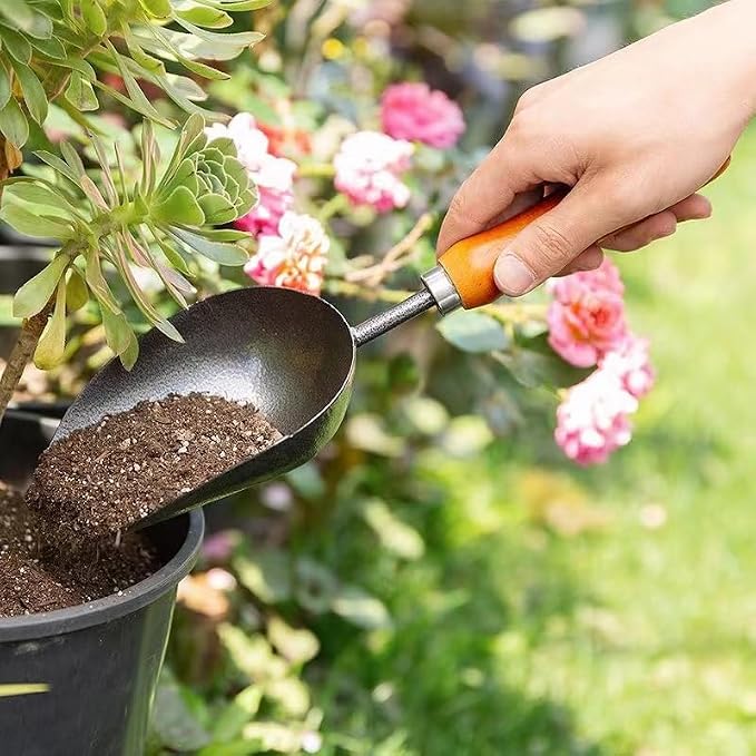 61LGx3ClJDL._AC_SX679_.jpg Stainless Steel Garden Hand Trowel with Wooden Handle for Soil Digging and Planting - Image 1